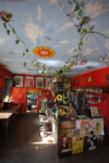 Sunflower Hostel Berlin