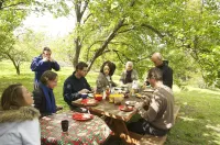 Tranquil Point Hotels in Kettering