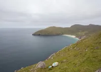 로즈 오브 더 시