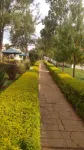 Jabali Country Lodge Hotels in Mosocho