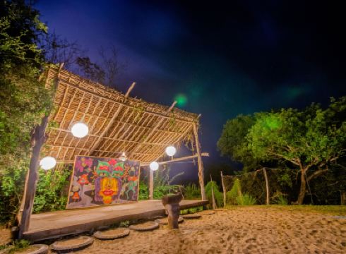 Distant Relatives Ecolodge & Backpackers