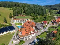 Naturparkhotel Adler Hotels in Wolfach