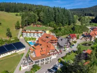 Naturparkhotel Adler Hotels in Wolfach