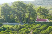 Stefanos Garden