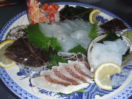 Uzushio Onsen Guesthouse Shirahasou