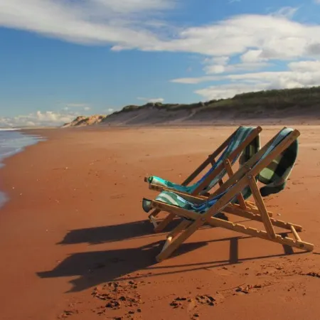 Blackbush Beach Resort