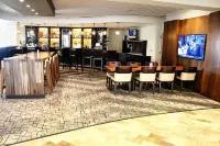 Ann Arbor Marriott Ypsilanti at Eagle Crest - bar