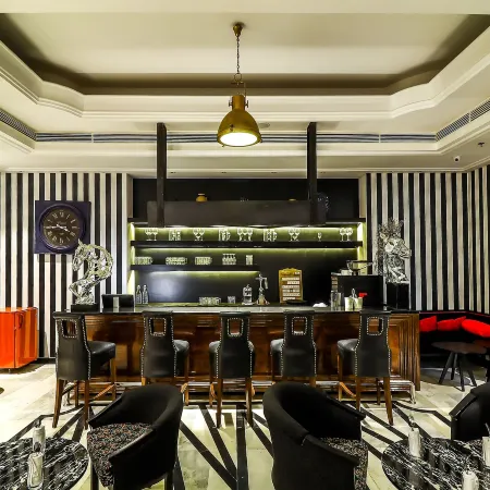 Hotel Piccadily Raipur