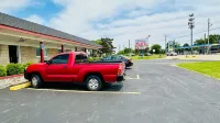 Catalina Airport Motel - Motels