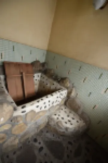 อิจิราคุ เรียวกัง