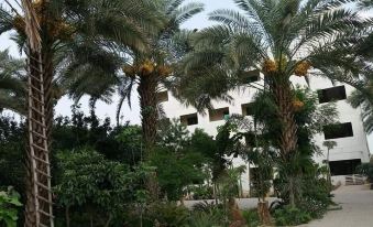 Palm View Hotel