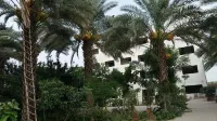 Palm View Hotel Hotels in WAPDA City