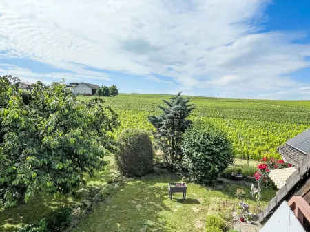 Weinbergblick Отели в г. Фогтсбург