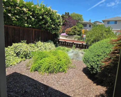 Spacious 3 bedroom house, close to Oakland, San Francisco, & San Jose. Hotels in Castro Valley