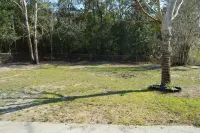 Pet Friendly Fully Renovated Cozy Springs Retreat