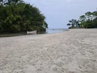 Wonderful house with 5 suites in Barra do Sahy Hotels in Barra do Sahy