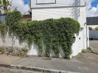 Charming house with white mill. Brest Train Station 주변 호텔