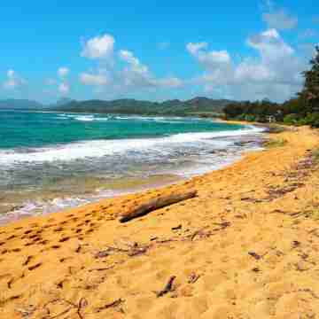 Deluxe 1 Bedroom Ocean View Condo with hot tub and pools & short stroll to beach Fitness & Recreational Facilities