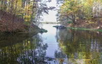 1-bedroom cabin near Huron-Manistee National Forest