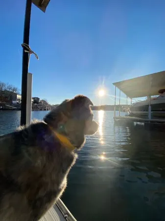 Waterfront Cottage & Dock w/ Beautiful View - 5MM