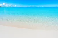 Palm Jewel - Luxury villa, private outdoor oasis w/pool, walk to SAPODILLA BEACH