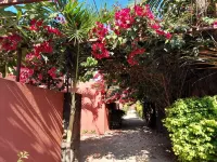 Charming villa Hotels in Pointe aux Piments