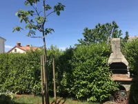 Comfortable and modern apartment in Zambrattia, WiFi, AC, near the beach