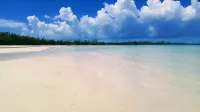 "The Most Convenient Location To Vacation" Các khách sạn ở 