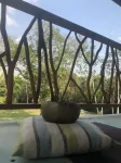 Amazing Jungle Retreat Close to San Ignacio Hotel a Bullet Tree Falls