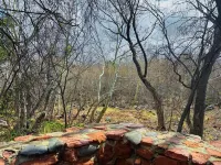 Eclectic Cottage on the Creek!