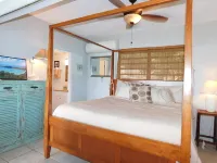Million Dollar Views: Walk to Beach, Pools, and Restaurant Hotels in Frydendal