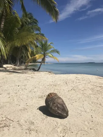 Welcome to our beach front eco-friendly home in Bocas De Toro! Отели в г. Бастименто