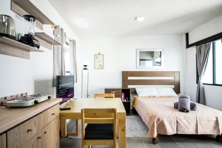 Lofts Tequisquiapan Отели рядом с достопримечательностью «Parque Central-Nara Garden»