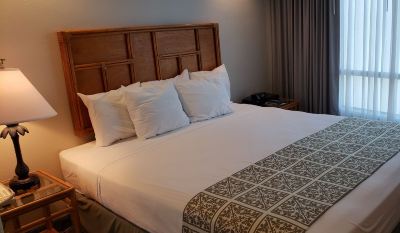 その他 インペリアル ハワイ リゾート アット ワイキキの写真