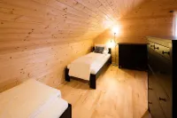 W & S Executive Apartments - Hallstatt II - balcony