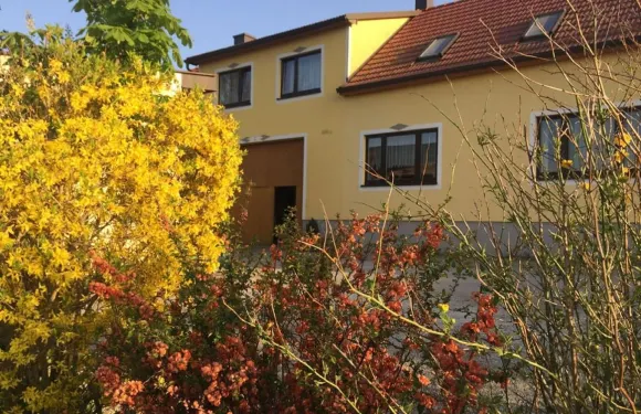 Amstetter 的度假公寓