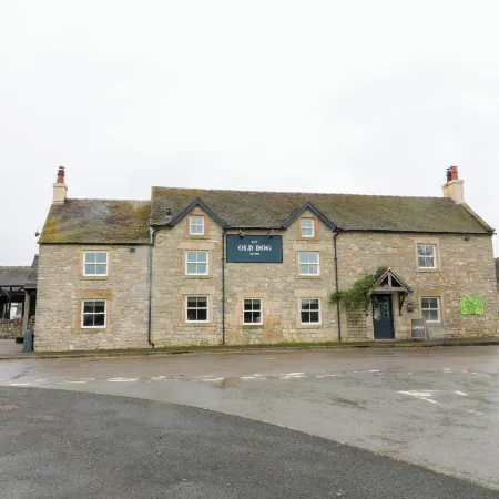 The Loft at The Old Dog Thorpe Отели в г. Ашбурн