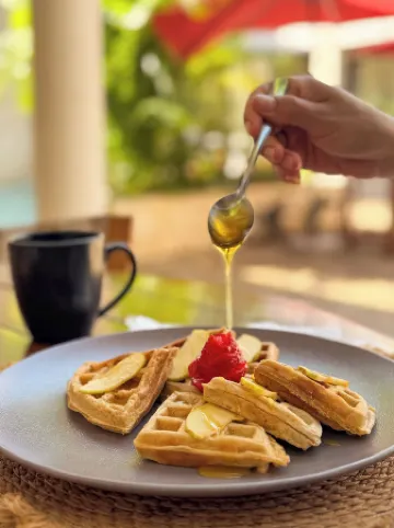 Frater Yucatan Hotel