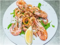 Hotel Ortensia Các khách sạn ở Ponza