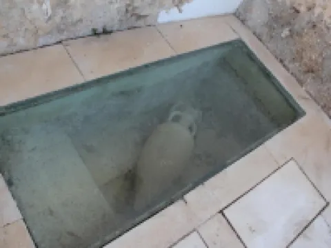 Hospederia de Cuenca Hoteles en Cuenca