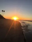 Les Artistes Inn - Ocean View
