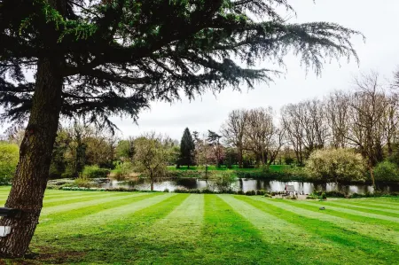 Cave Castle Hotel Отели в г. Уиттон