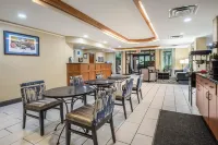 Comfort Inn University Hotels in Gainesville