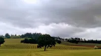 The Boutique Retreat Hotels in McMinnville