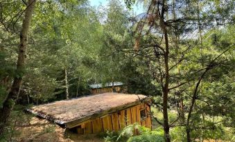 Boutique Glamping Divja DiVine