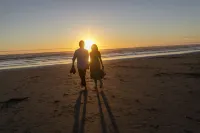 Saltline - Strand
