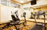 Holiday Inn AURORA NORTH- NAPERVILLE by IHG - Gym