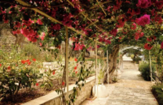 Agali Hotel Paxos