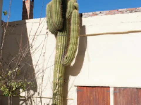 Hotel Cafayate Hoteles en Cafayate