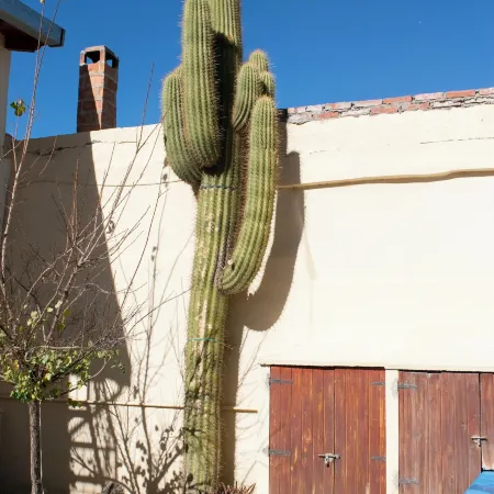 Hotel Cafayate